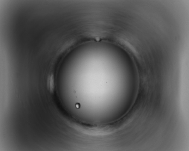 X0000094920020200712061118