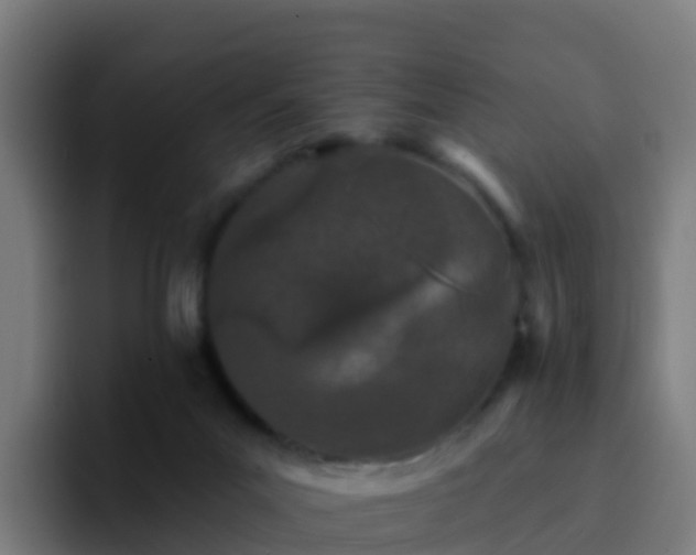 X0000094920023200712061118