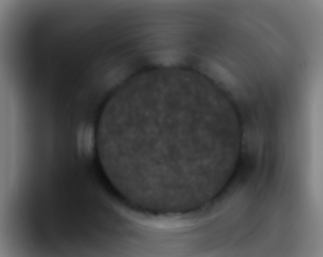 X0000094920024200712061118