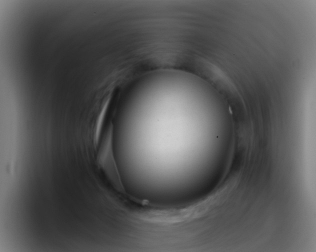 X0000094920029200712061118