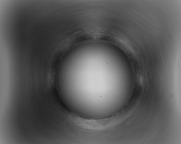 X0000094920030200712061118