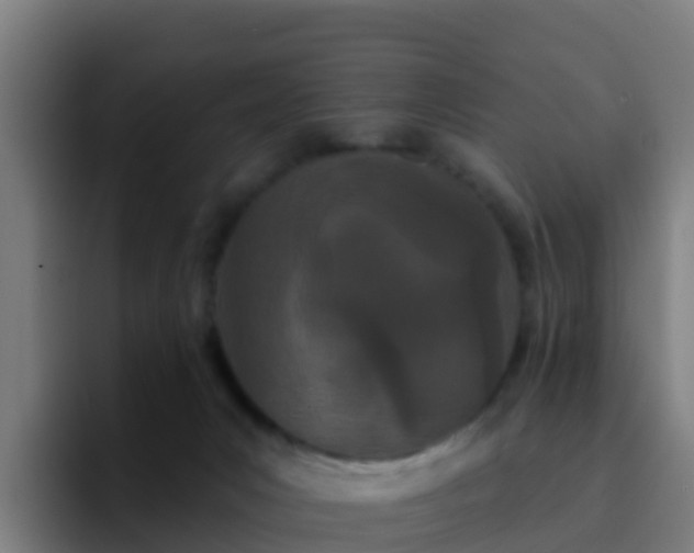 X0000094920031200712061118