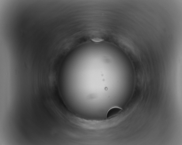 X0000094920034200712061118