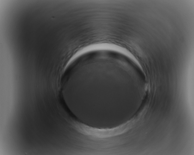 X0000094920039200712061118