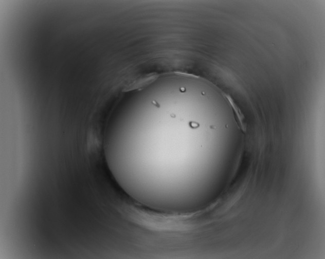 X0000094920040200712061118