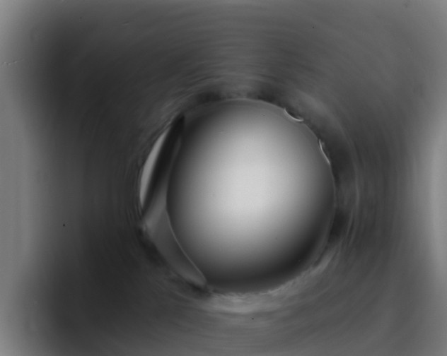 X0000094920041200712061118