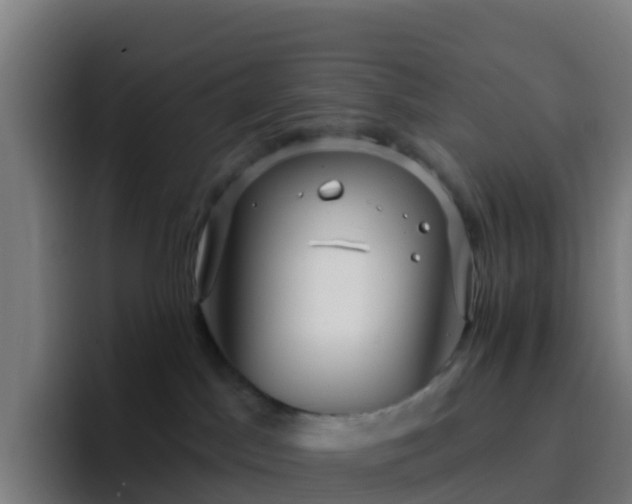 X0000094920045200712061118