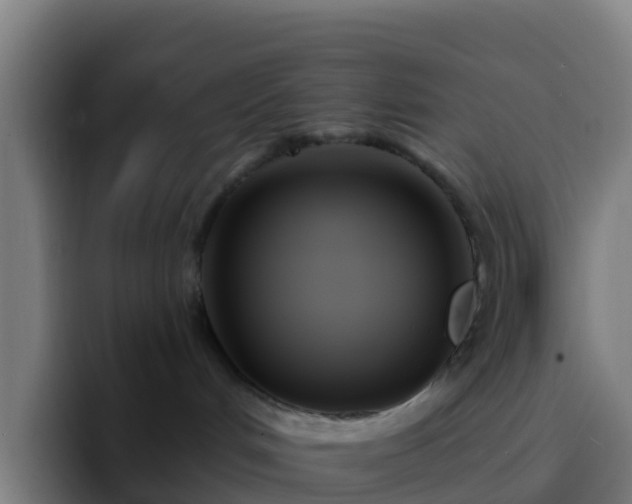 X0000094920048200712061118