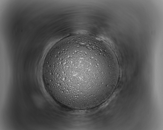 X0000094920049200712061117