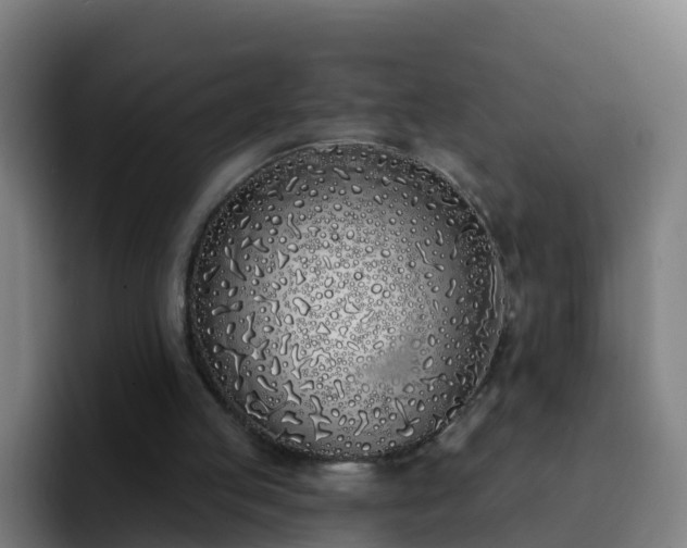 X0000094920053200712061117