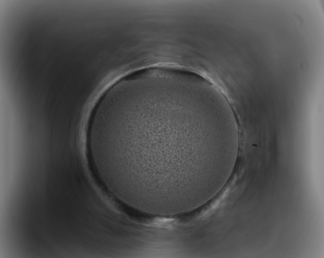 X0000094920055200712061117