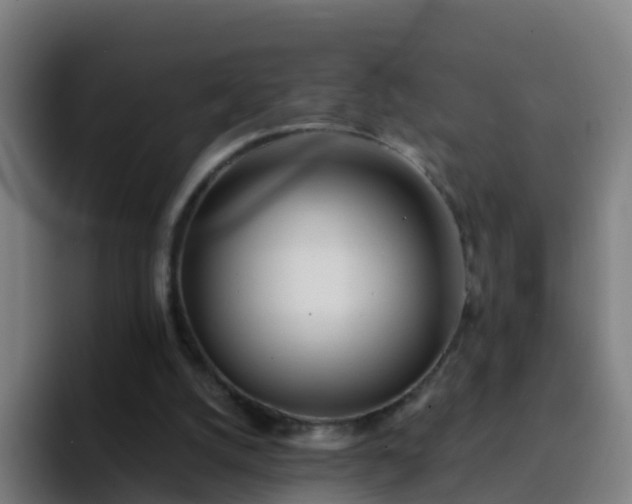 X0000094920056200712061117