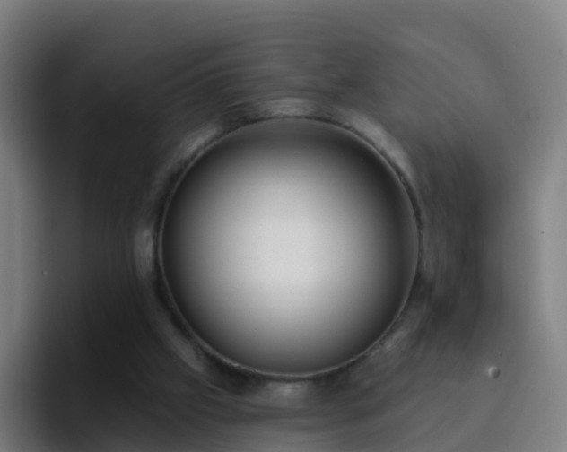 X0000094920057200712061117