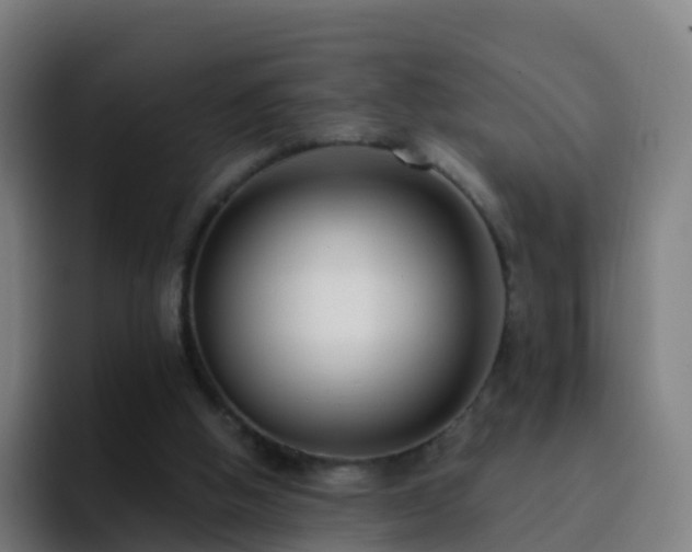 X0000094920058200712061117