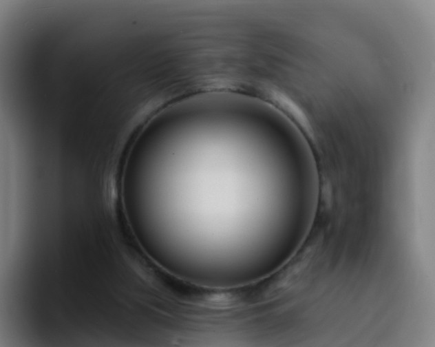 X0000094920059200712061117