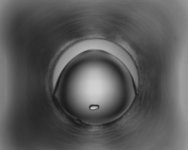 X0000094920060200712061117