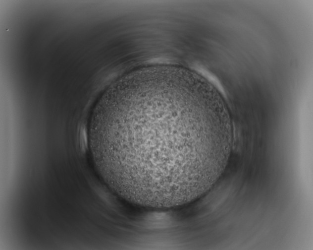 X0000094920061200712061117