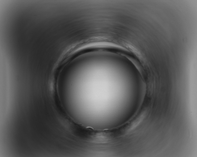 X0000094920064200712061117