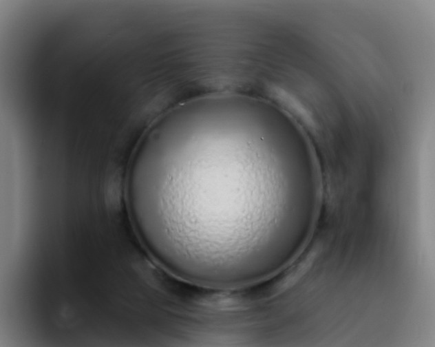 X0000094920065200712061117