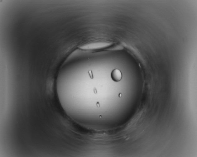 X0000094920066200712061117