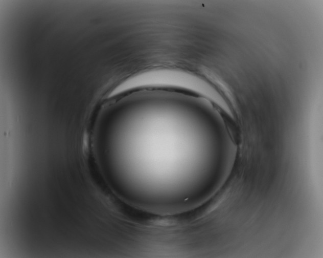 X0000094920067200712061117