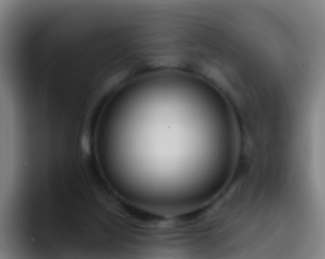 X0000094920068200712061117