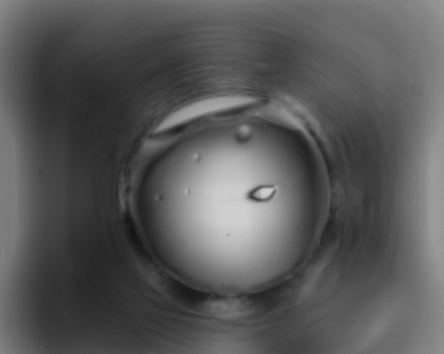 X0000094920069200712061117