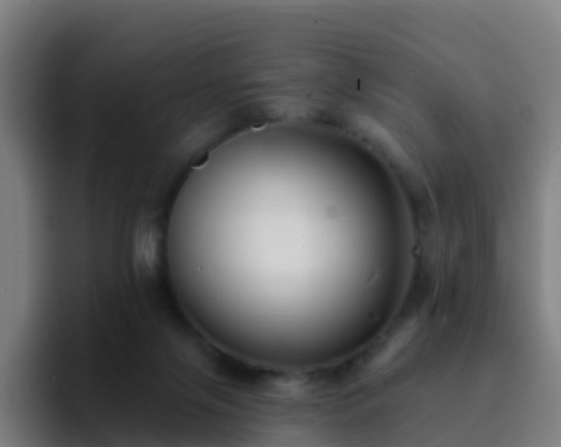 X0000094920071200712061117