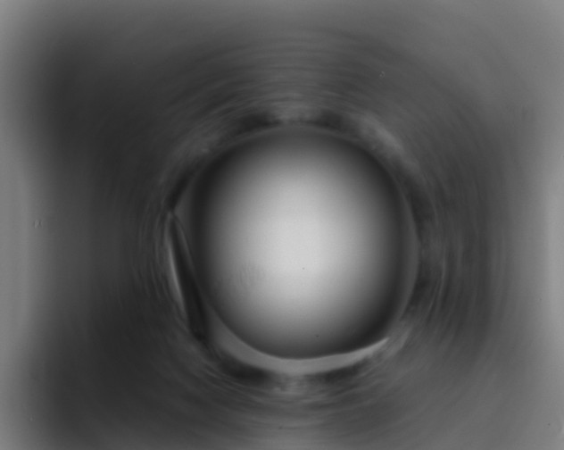 X0000094920074200712061117