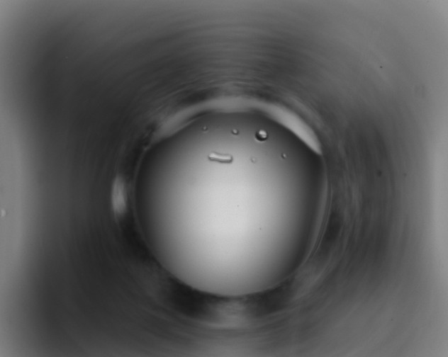 X0000094920075200712061117