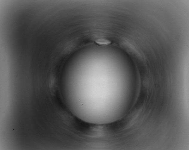 X0000094920079200712061117