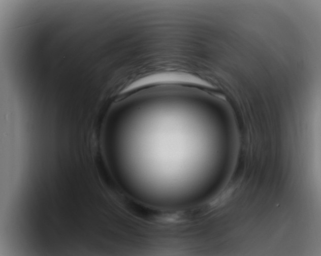 X0000094920086200712061117