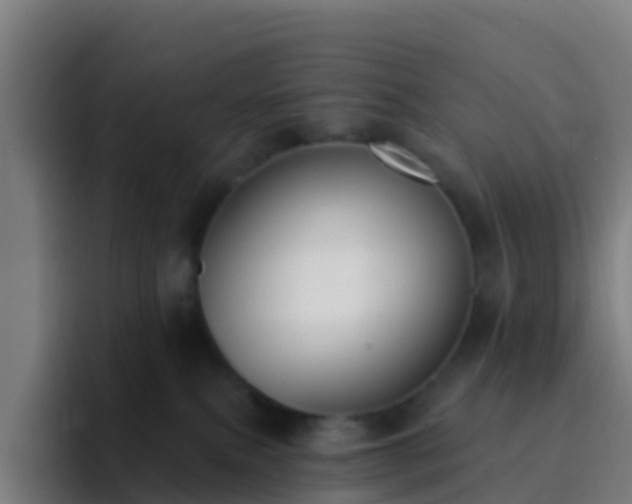 X0000094920087200712061117