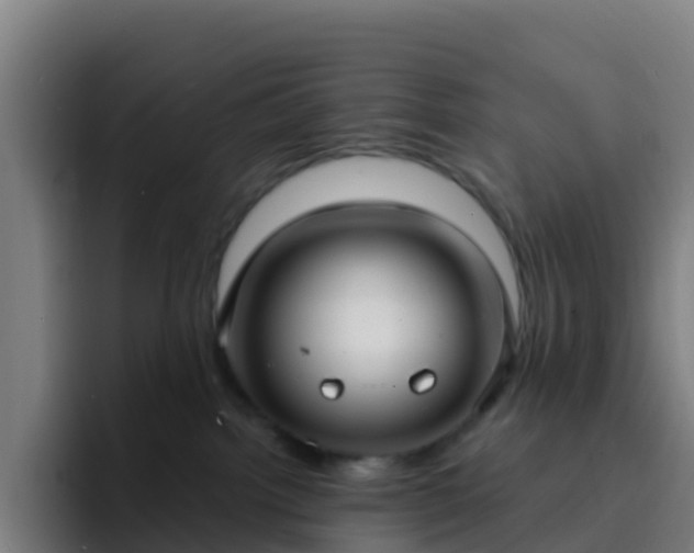 X0000094920092200712061117