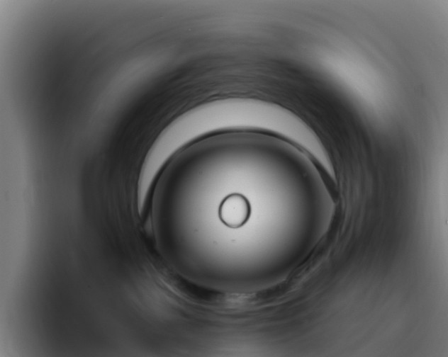 X0000094920093200712061117