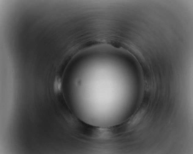 X0000094920095200712061117