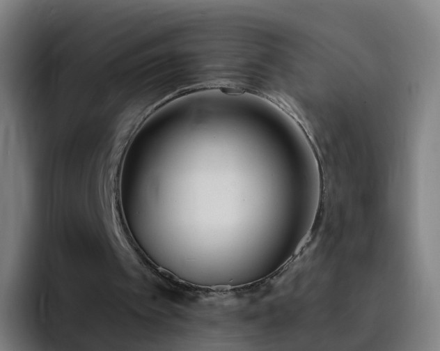 X0000094920097200712061117