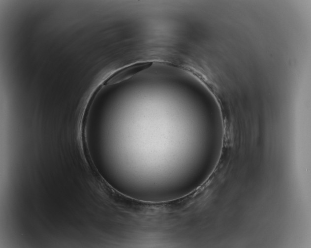 X0000094920099200712061117