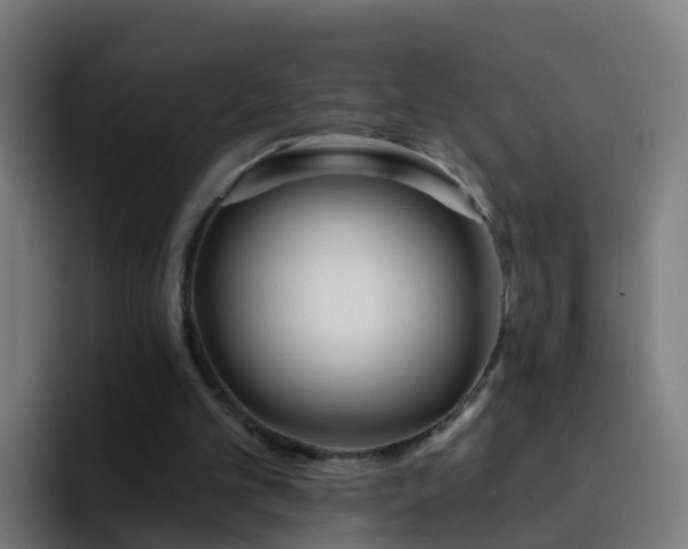 X0000094920101200712061117