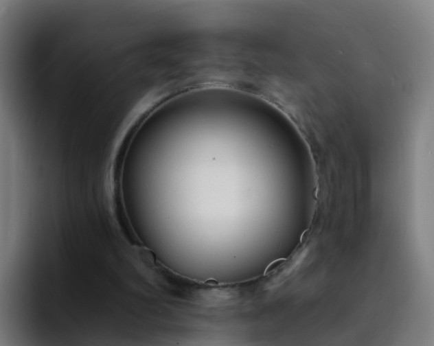 X0000094920102200712061117