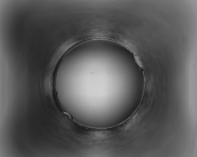 X0000094920103200712061117