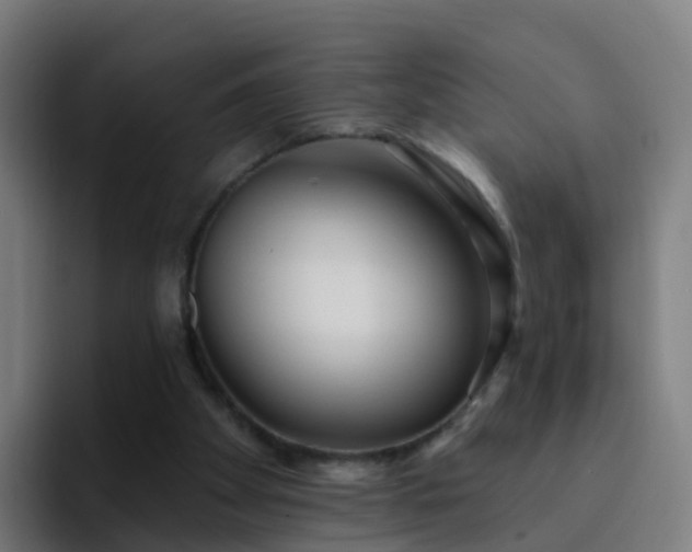 X0000094920105200712061117