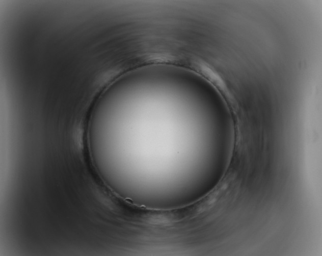 X0000094920106200712061117