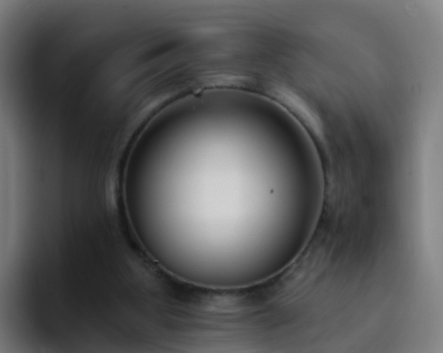 X0000094920107200712061117