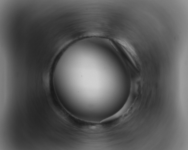 X0000094920108200712061117