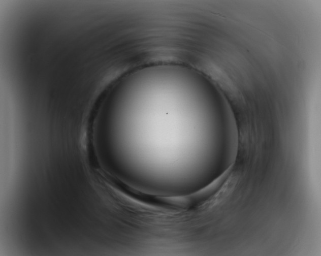 X0000094920112200712061117