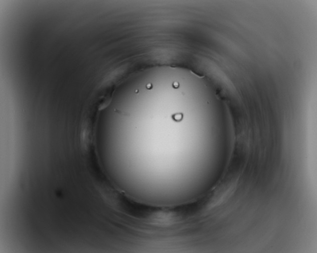 X0000094920119200712061117