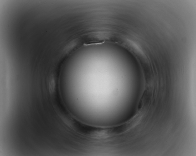 X0000094920120200712061117