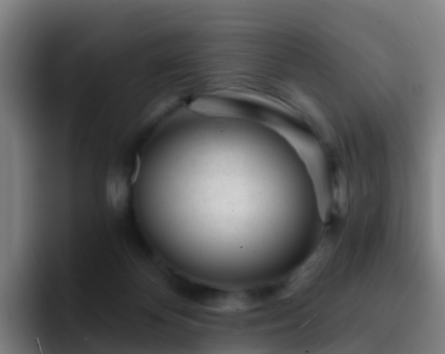 X0000094920124200712061117