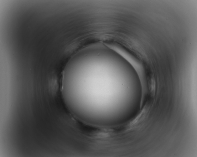 X0000094920128200712061116